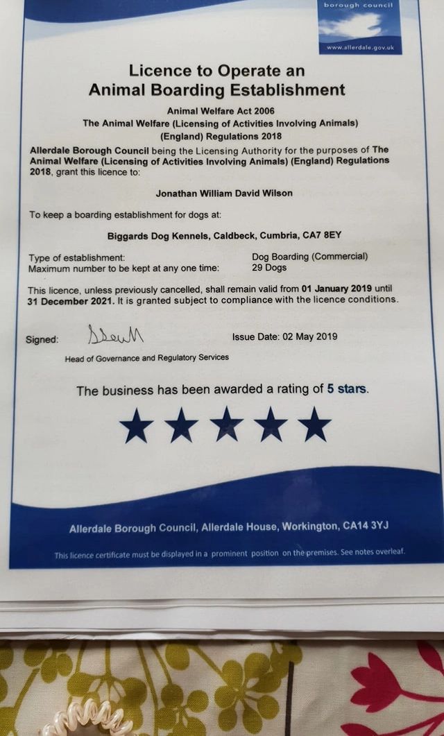 how-much-is-a-dog-boarding-licence