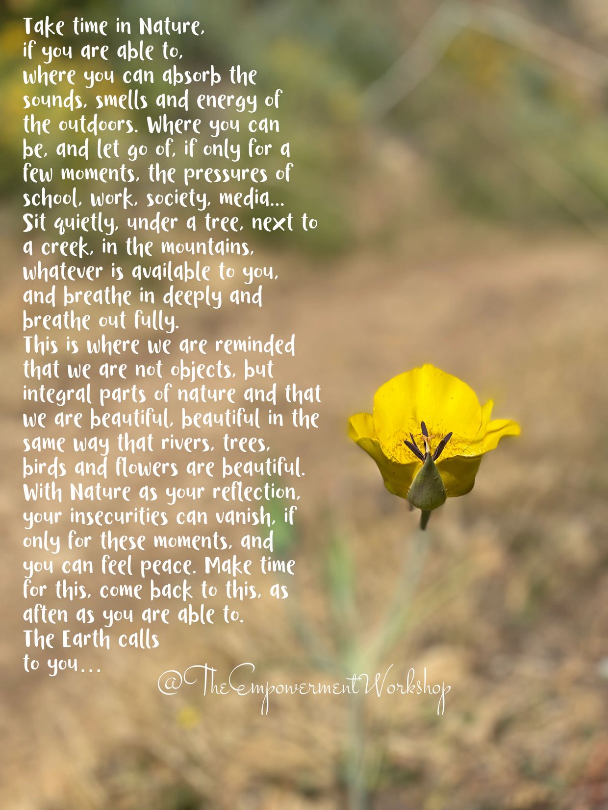 Yellow flower with a nature-inspired motivational quote about finding peace outdoors.