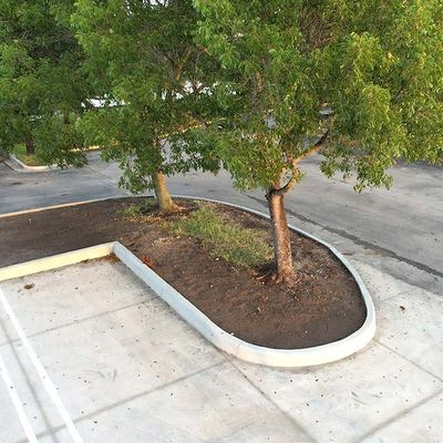 Mainland Parking Maintenance