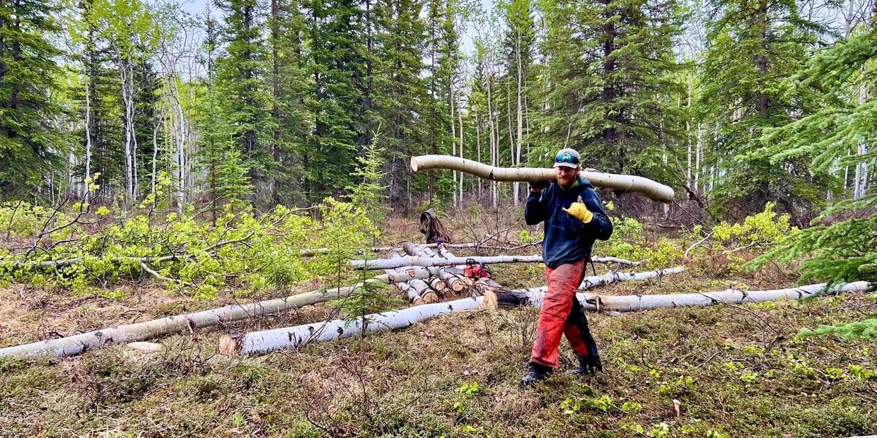 Man carrying log over his shoulder while land clearing