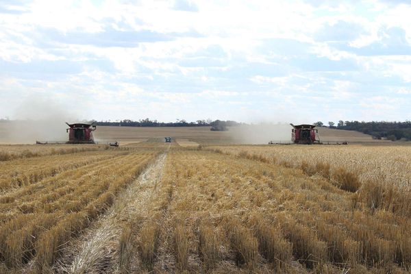 COVID-19 cluster in rural NSW sees large spike