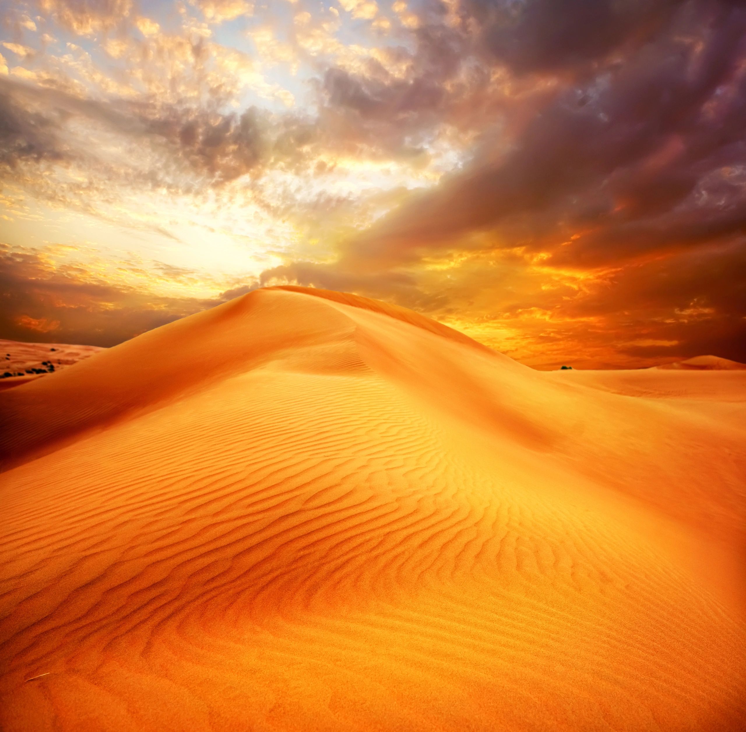 Enchanted Desert Sands Fantasy Novels, Coming Soon, Sci Fi Books