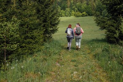 A picture of outdoor therapy:two people talking walking into a large green field in the countryside.