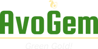 Avogem 