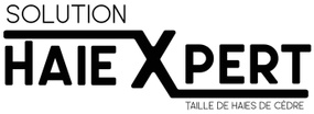 Solution Haiexpert