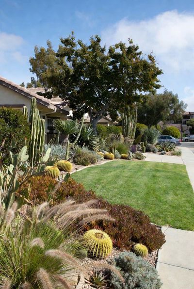 San Diego Xeriscaping in Chula Vista: Sustainable Gardening