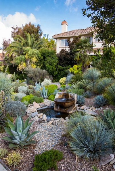 San Diego Xeriscaping in Kensington: Sustainable Gardening