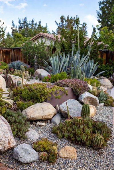 San Diego Xeriscaping in Alpine, CA: Sustainable Gardening