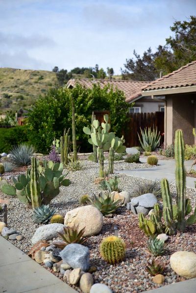 San Diego Xeriscaping in El Cajon, CA: Sustainable Gardening