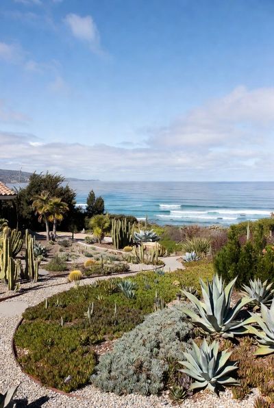San Diego Xeriscaping in Encinitas: Sustainable Gardening