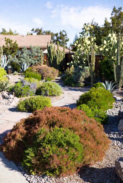 San Diego Xeriscaping in Fallbrook, CA: Sustainable Gardening