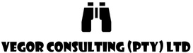 Vegor Consulting