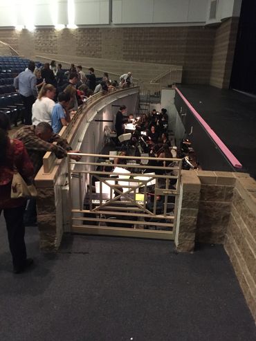 Audience and orchestra in a theater setting.