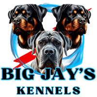 Big Jay's Kennels