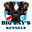 Big Jay's Kennels