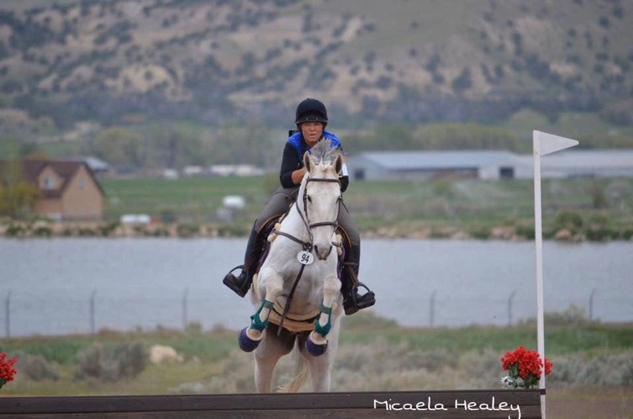 Equestrian rider jumps over obstacle near a lake.