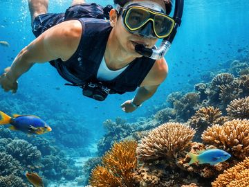A man snorkeling among colorful coral and fish.