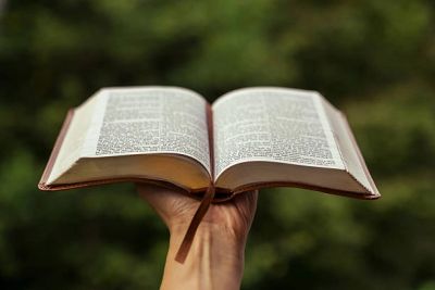 Hand holding an open book outdoors.