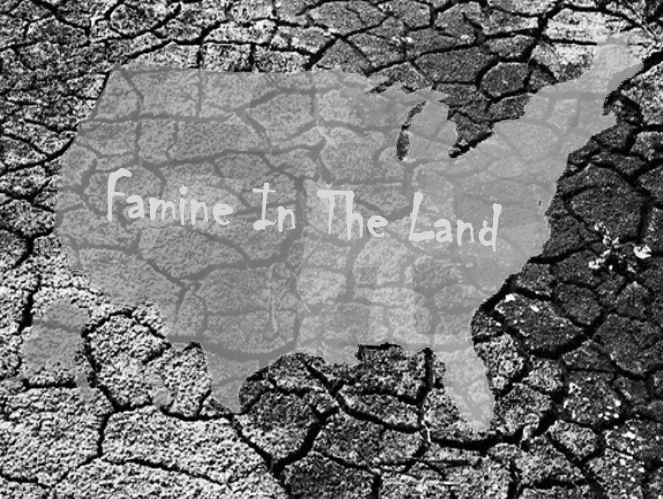 Famine In The Land