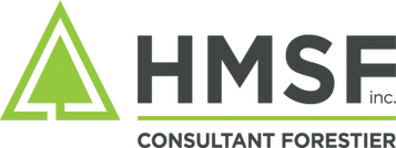 HMSF