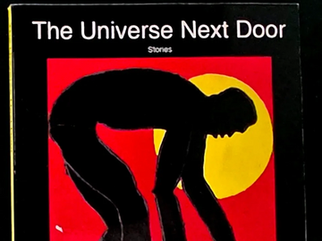 Book cover of "The Universe Next Door" with a silhouette and colorful background.