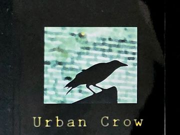 Silhouette of a crow perched against a blurred urban backdrop.