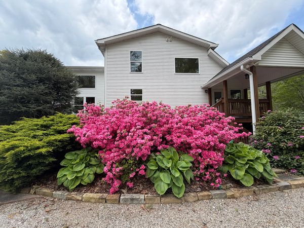 White house with vibrant pink flowers and green shrubs in front yard.