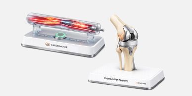 Medical models showing a heart and knee joint for educational purposes.