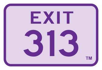 Exit 313