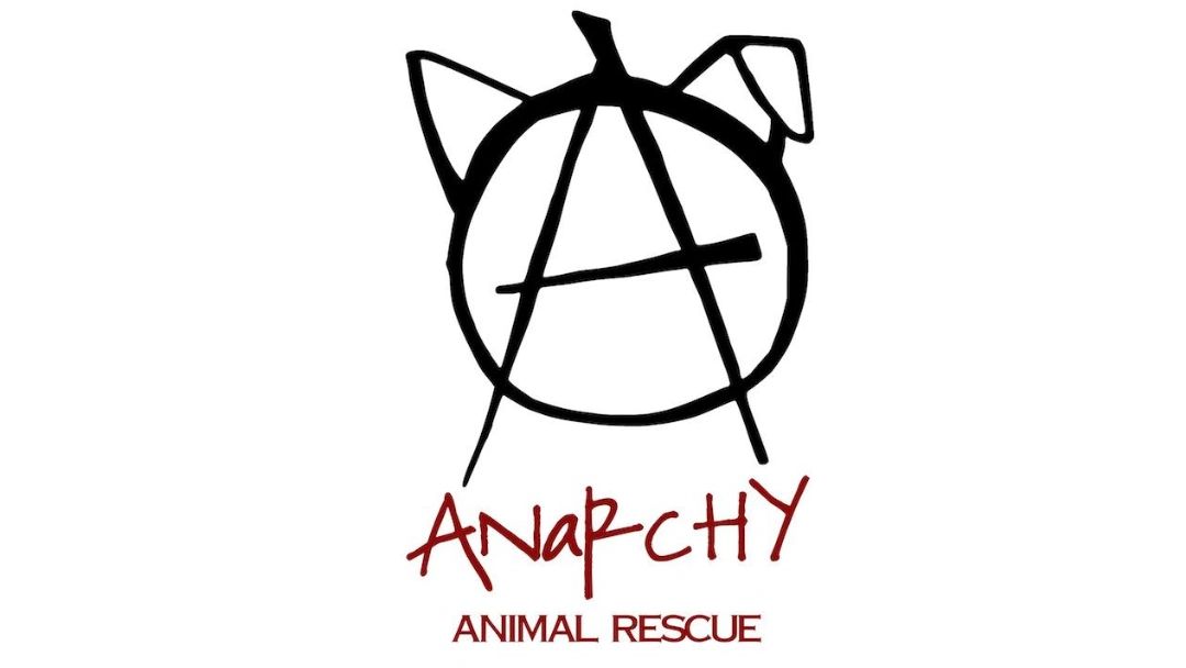 Anarchy Animal Rescue & Rehabilitation logo