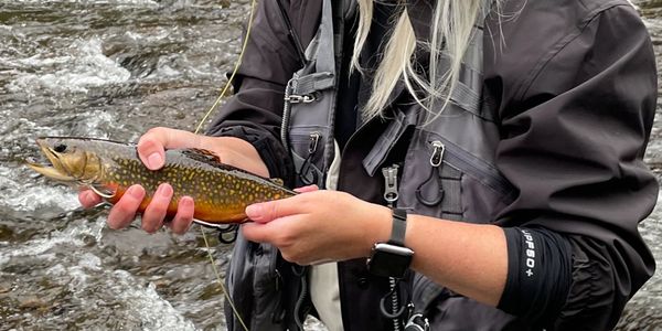 algonquin fly fishing park drift boat learn to casting brook trout ottawa valley bass guide