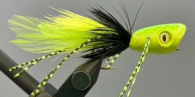 Casting a Fly for Trout - Northeastern Ontario Canada