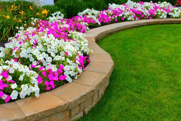 landscaping
Vancouver landscaping
landscape design
landscape maintenance


