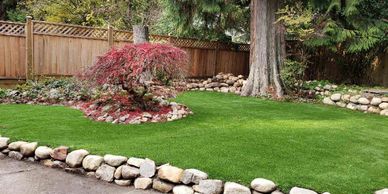 A neatly landscaped backyard with vibrant green grass and a red-leaved tree.