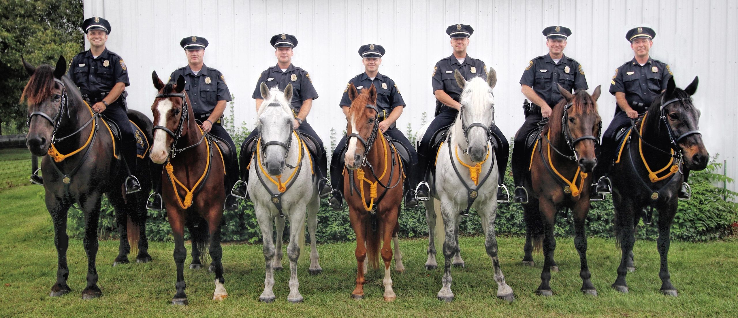 mounted-police-officer-career-profile-law-enforcement-careers-law