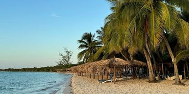Sandy beach with palm trees in Cuba