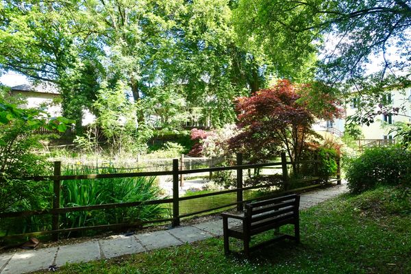 lower pond area within grounds