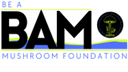 Be A Mushroom Foundation