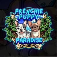 French Bulldog Online