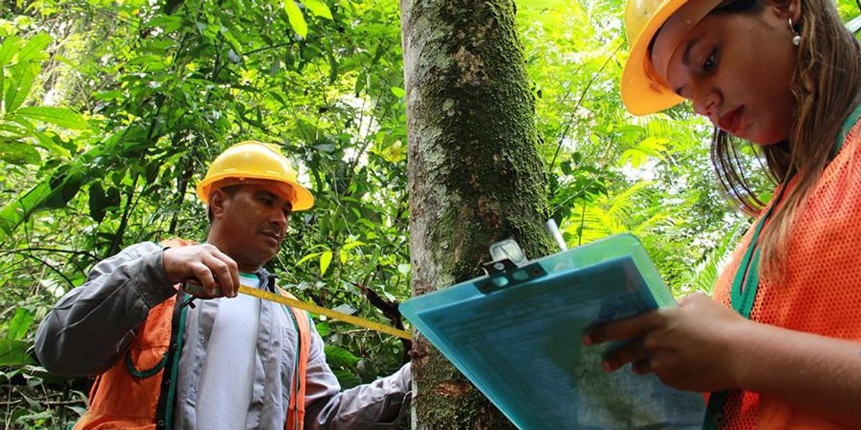 Projetos Ambientais e Licenciamento Ambiental