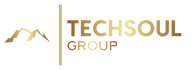 techsoulgroup.com