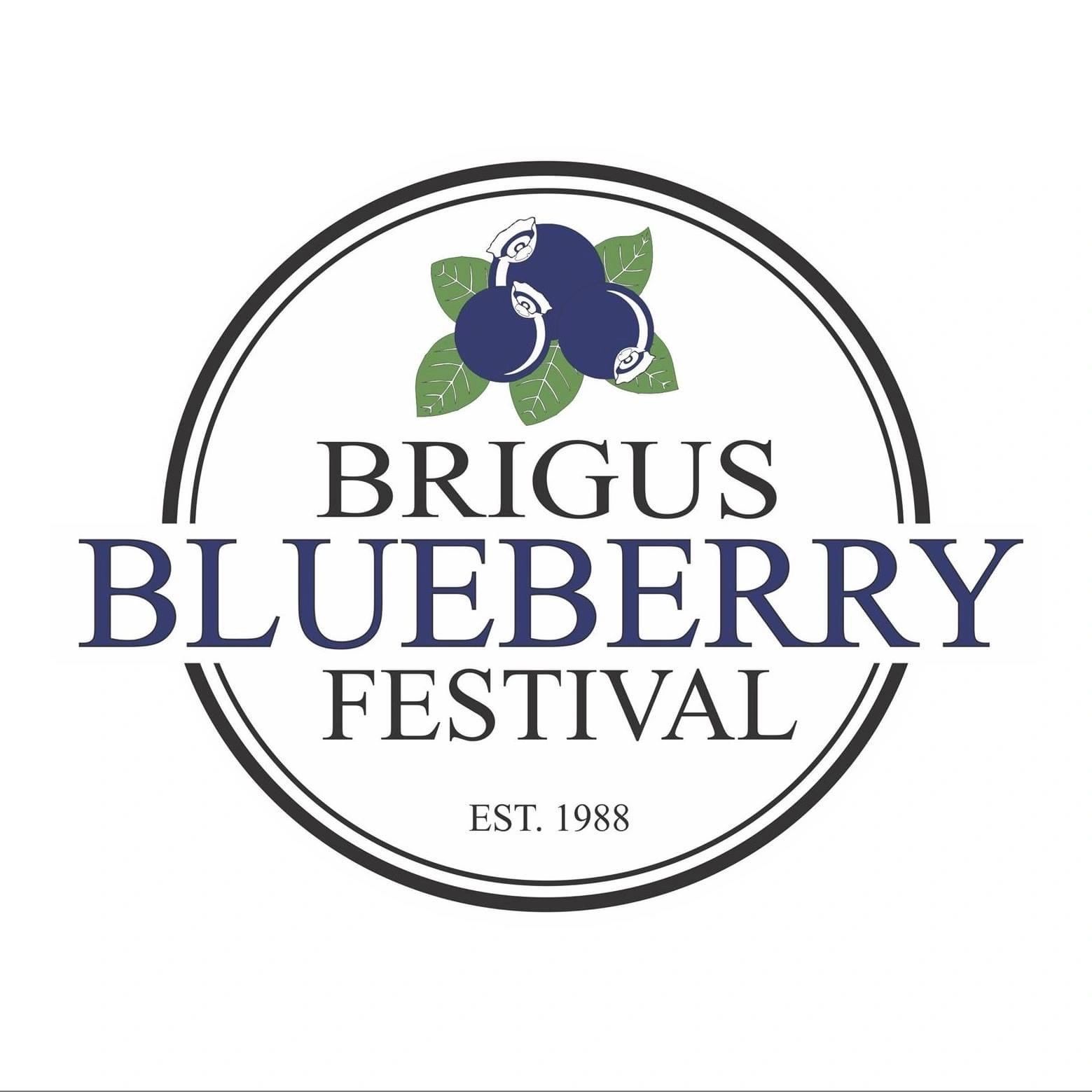 2022 Brigus Blueberry Festival