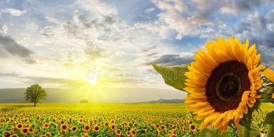 Fixing anxiety in adults with therapy