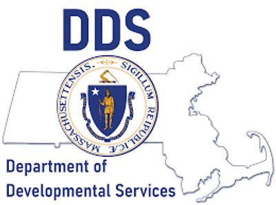 DDS logo