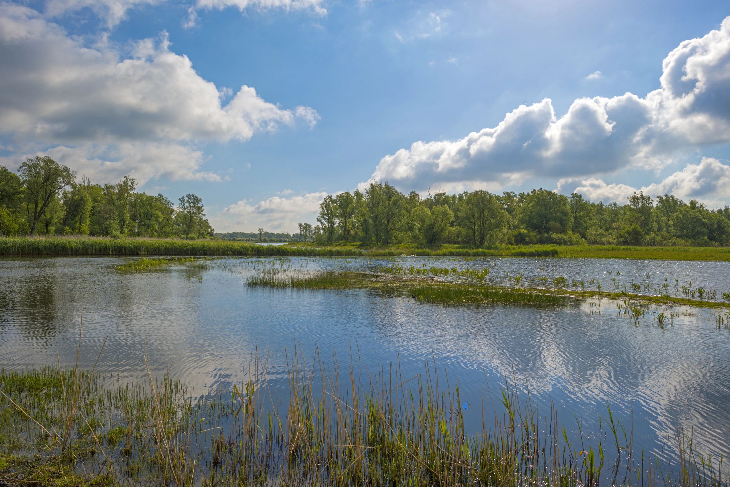 Ecological Restoration Business Association