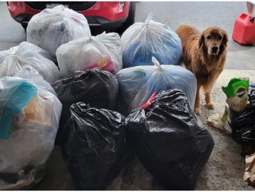 A dog standing near several tied garbage bags on the ground.