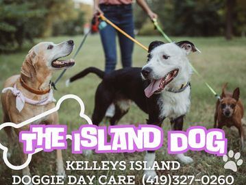 The Island Dog, Kelleys Island