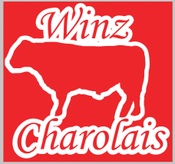 Winz Charolais
