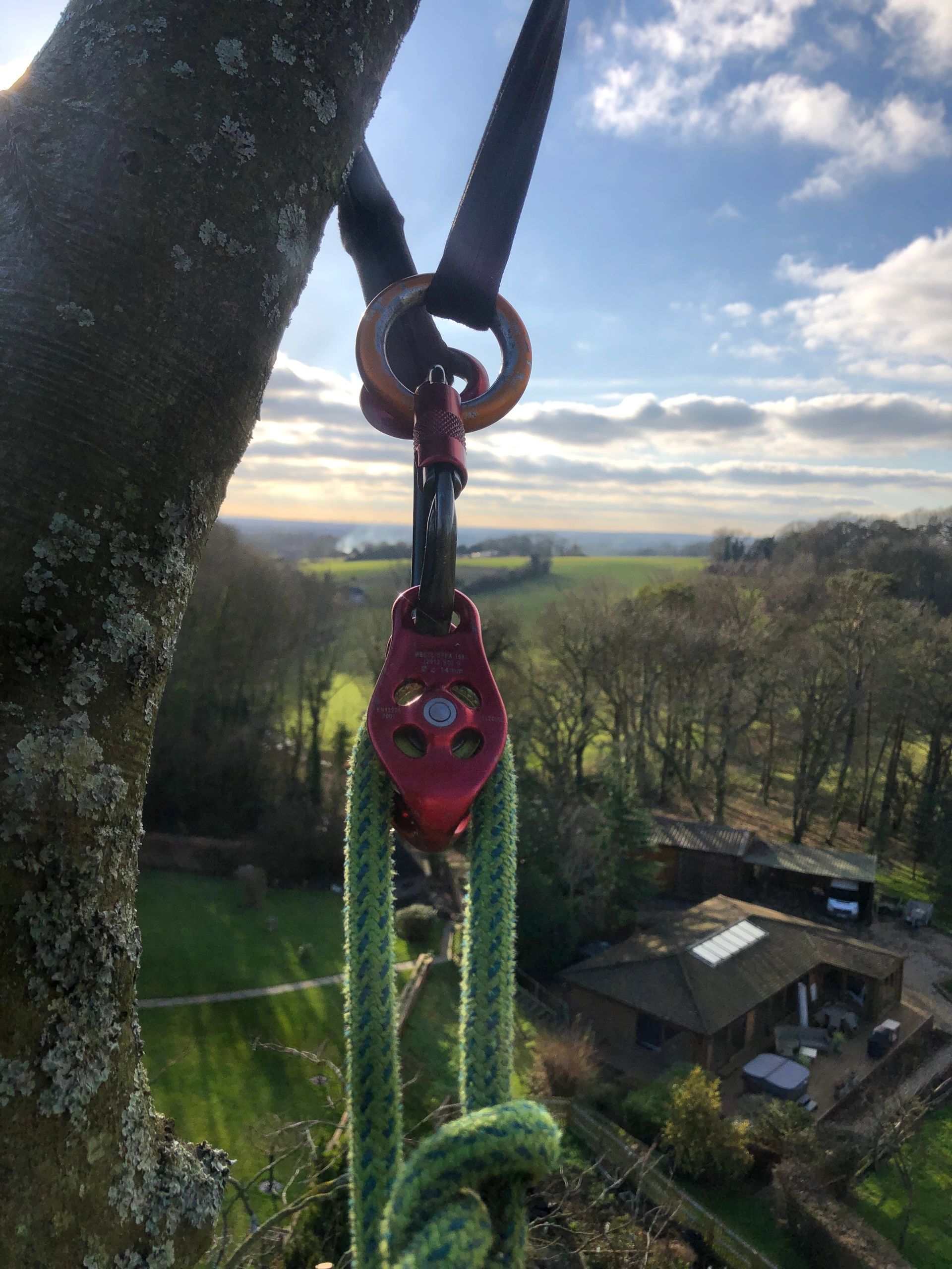 TreeWorX - Tree Surgeon, Tree Surgeon, Tree Services, Tree Removal