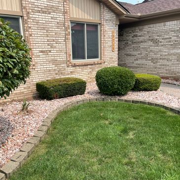 Neatly trimmed bushes and green lawn in front of a brick house.
